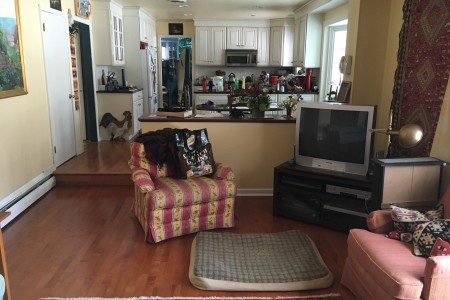 New Wood Floor